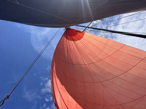 Sailing - Main and Gennaker