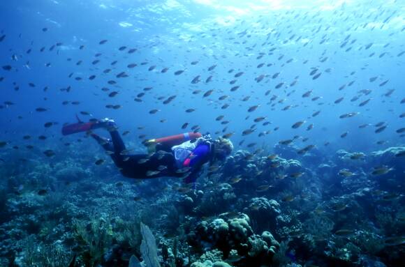 Grenadines